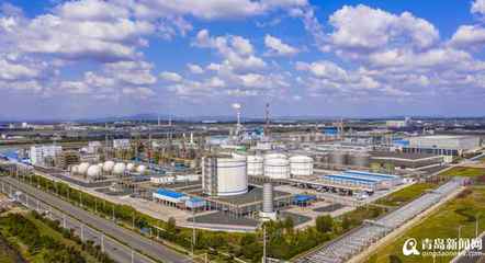 【青视点】从“一棵树”到“一片林” 青岛新材料专业园区崛起，新兴产业生态加速成势