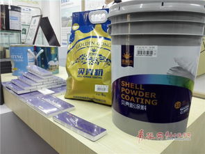 青岛国际院士港再添新成果 废弃贝壳“变身”环保涂料，引领新材料绿色革命